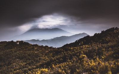 黄花场在白天多云的天空下
